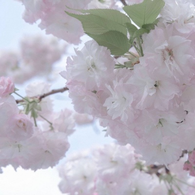 Furry插画背景绘制技巧福瑞交流群